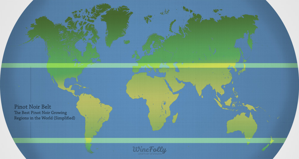 Learn About Pinot Noir Wine - Taste, Origins & Regions