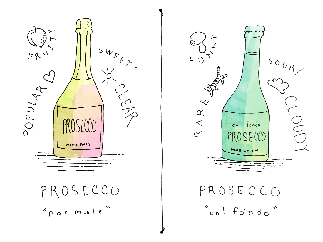 https://media.winefolly.com/prosecco-col-fondo-illustration-winefolly.jpg