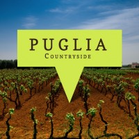 puglia-wine-country-image 