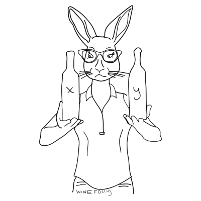 rabbit-in-clothes-wine-hipster-illustration