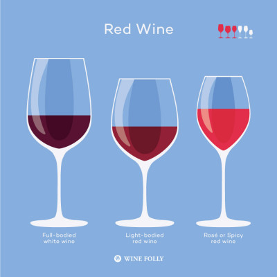 Types of red wine glasses and why to choose them by Wine Folly