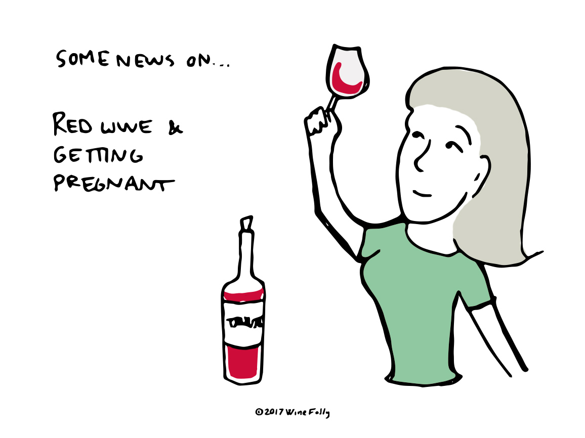 About That Study on Pregnancy and Red Wine Wine Folly