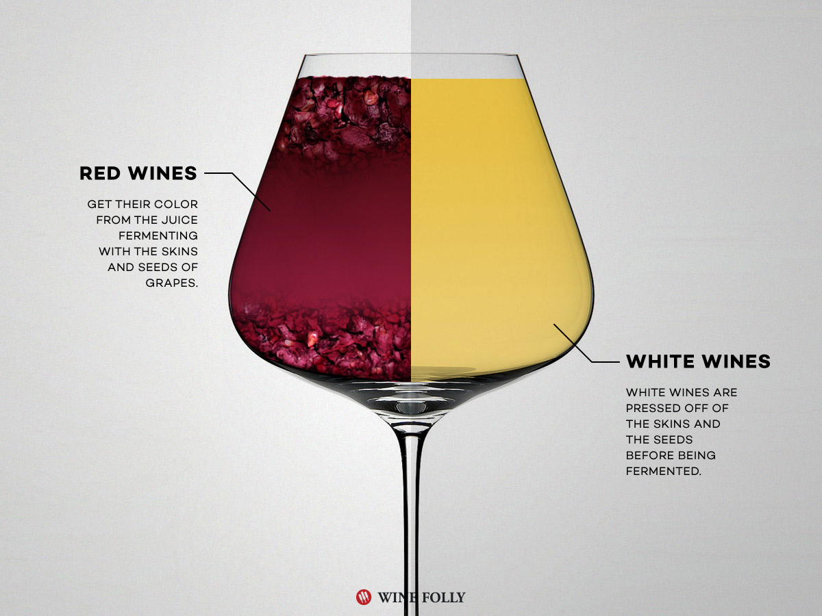 Red Wine vs White Wine The Real Differences Wine Folly