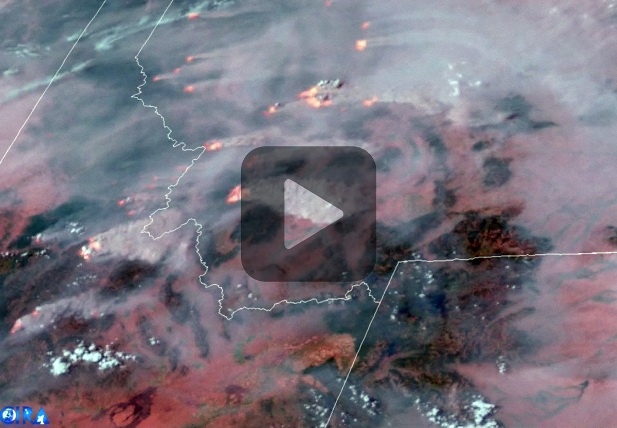 The Impact of Wildfires on Wine Wine Folly