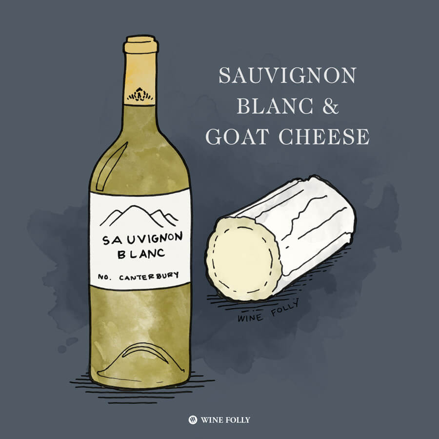 sauvignon-blanc-goat-cheese-pairing-illustration