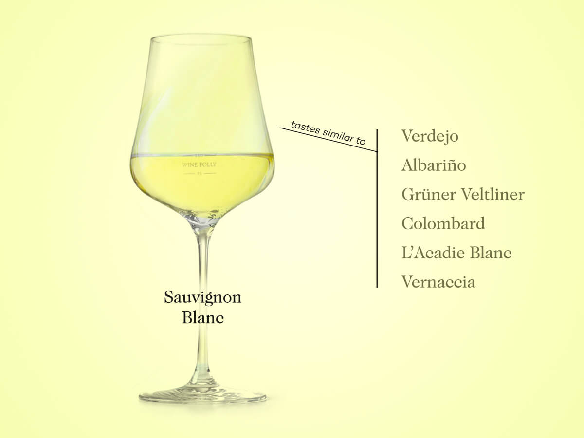 Sauvignon Blanc substitutes include verdejo, albarino, colombard, gruner veltliner, Vermentino, Vernaccia