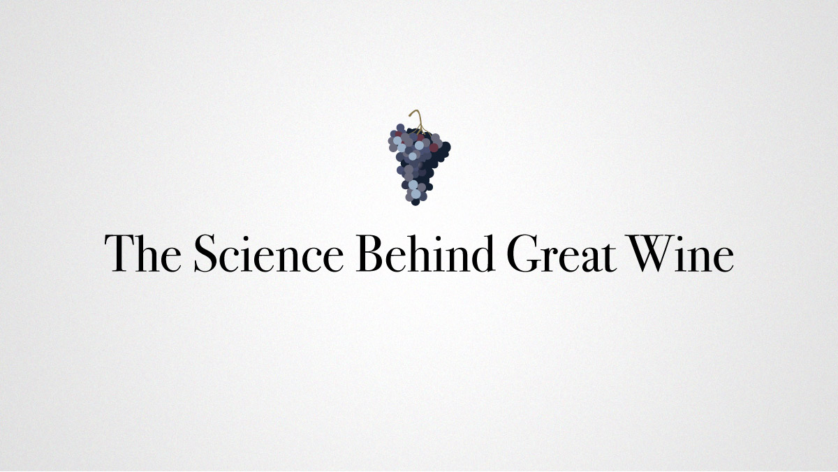 The Science Behind Great Wine