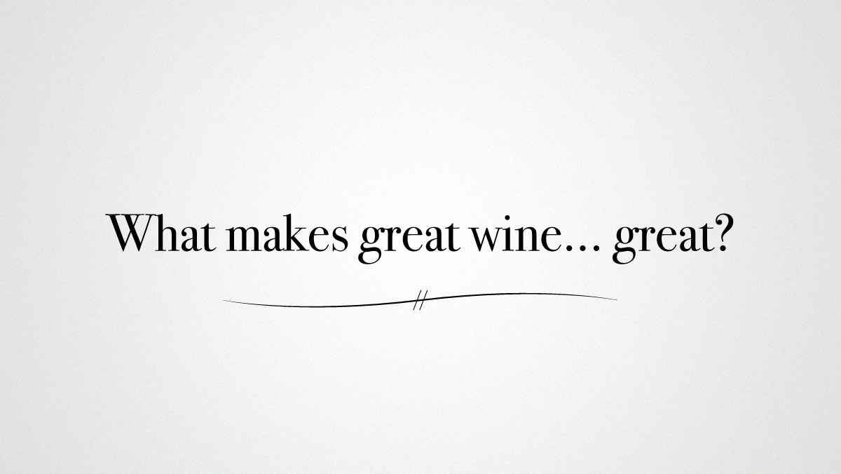 What Makes Great Wine… Great? | Wine Folly