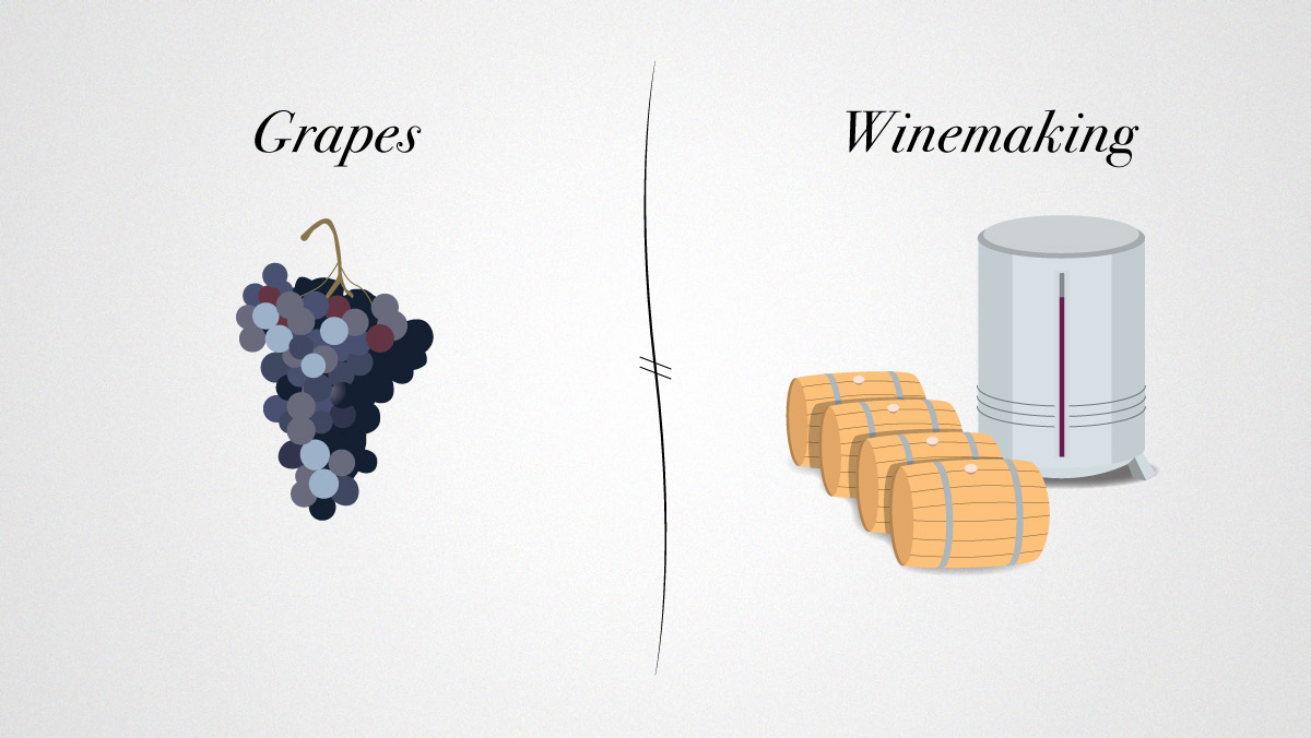 Traubenanbau und Weinherstellung für großen Wein