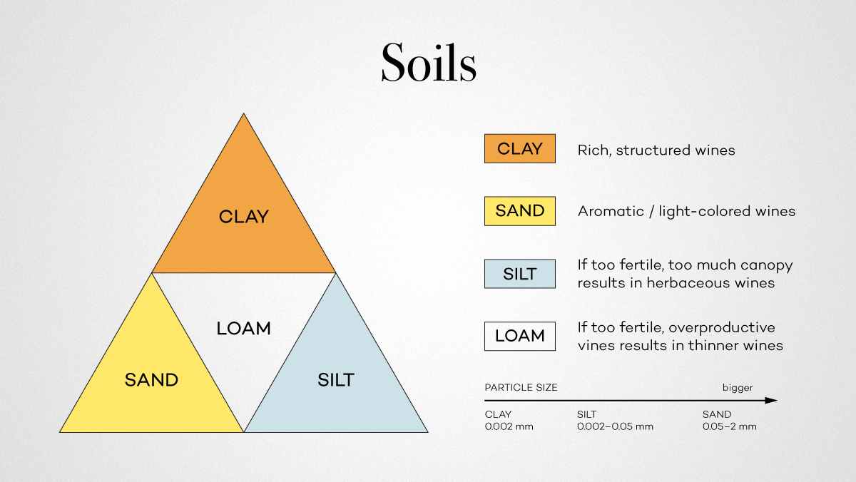 What Makes Great Wine… Great? | Wine Folly