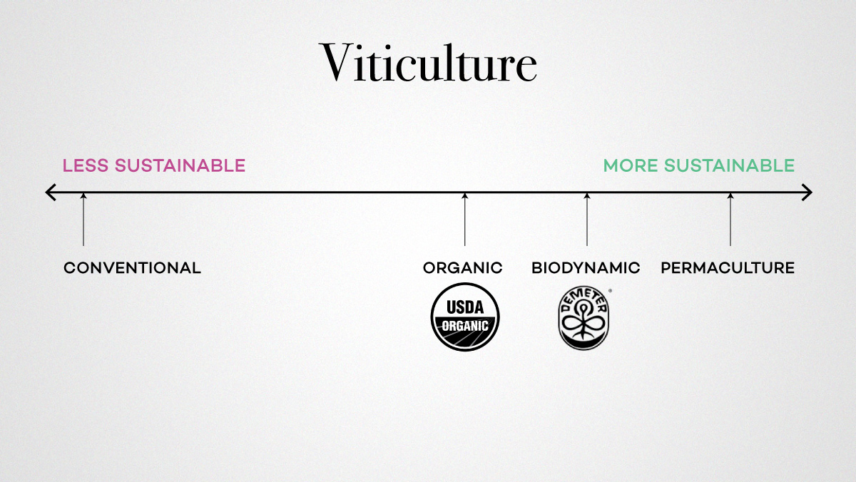 viticultura sustentável