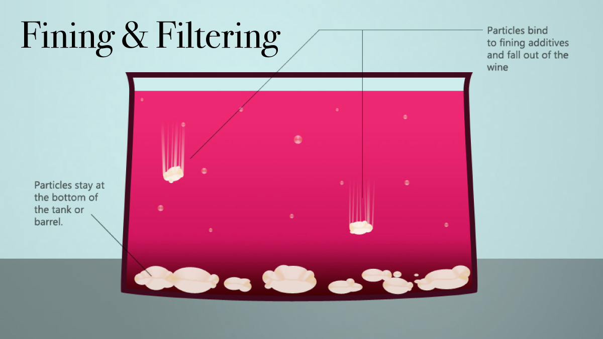 fining and filtering in wine