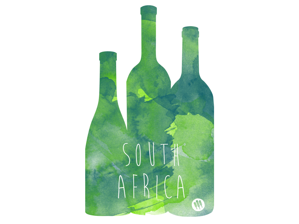 Green life вино. Bold вино. Life is Wine (жизнь вино). Wine tasting South Africa. Red Wine South Africa.