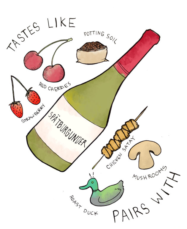 3 German Red Wines That Are Meant For Summer Wine Folly