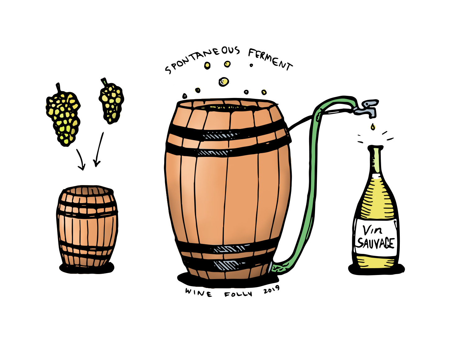 What S Up With Wild Fermentation In Wine Wine Folly