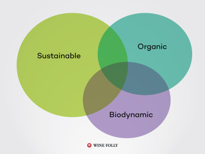 sustainable-organic-biodynamic-wine