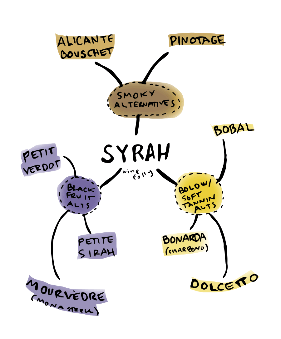 Great Alternatives to Syrah wine - infographic by Wine Folly 