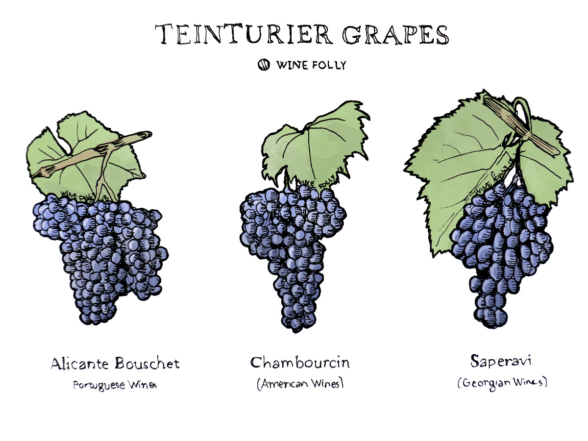 Types Of Wine Grapes Outlet Prices, Save 45% | jlcatj.gob.mx