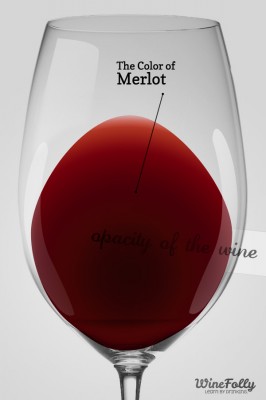 The color of Merlot in a Glass