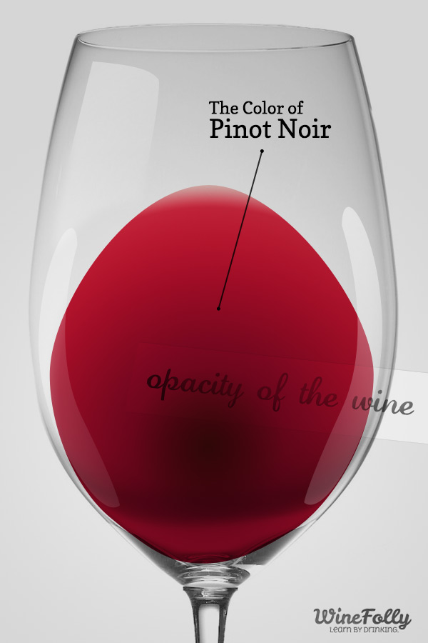 Amazing Noir Wine Facts | Wine Folly