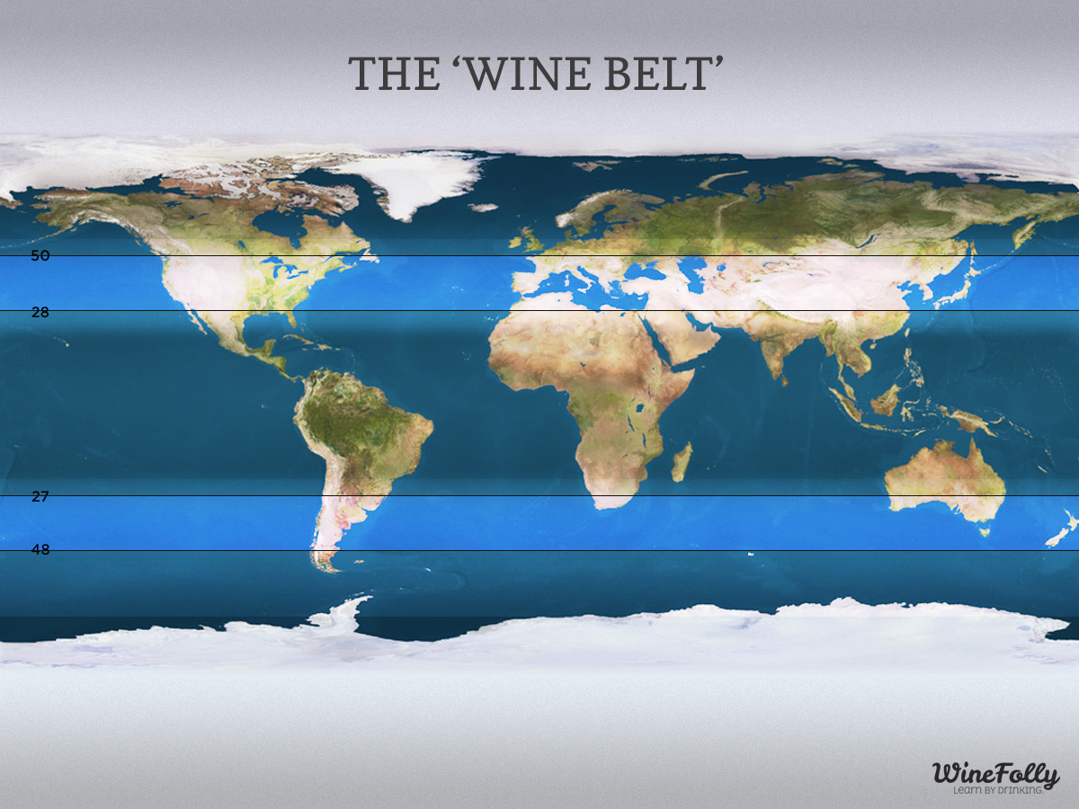 Wine regions of the world 'The Wine Belt'