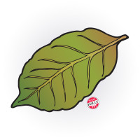 tobacco-leaf-by-wine-folly