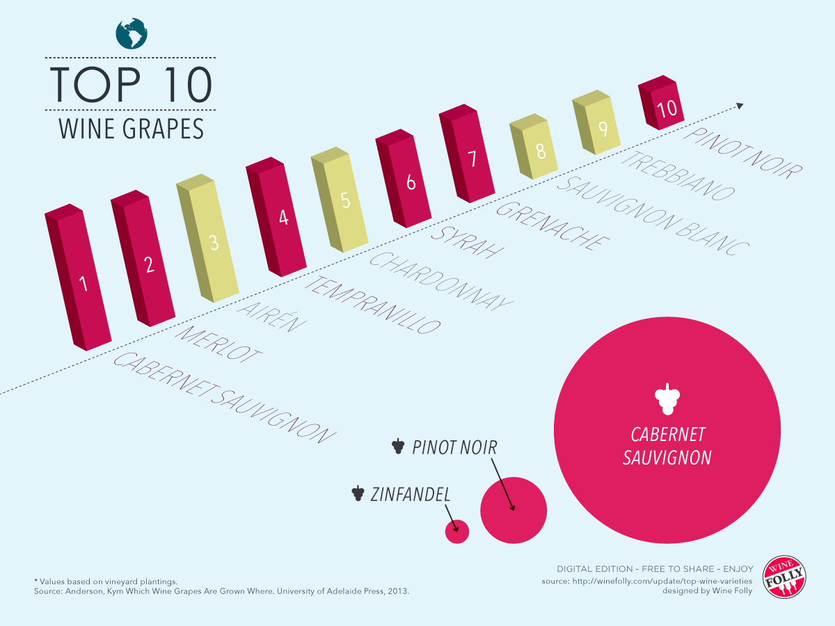 top-wine-varieties-of-the-world-wine-folly