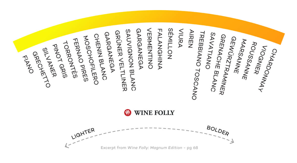 Different types of white wines organized by Body - infographic by Wine Folly