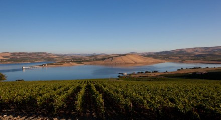 view-from-catena-ulmo-planeta-wines