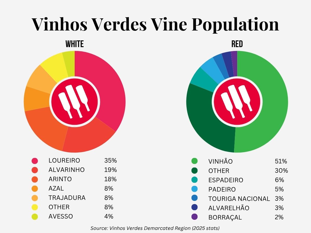 Vinhos Verdes vine population