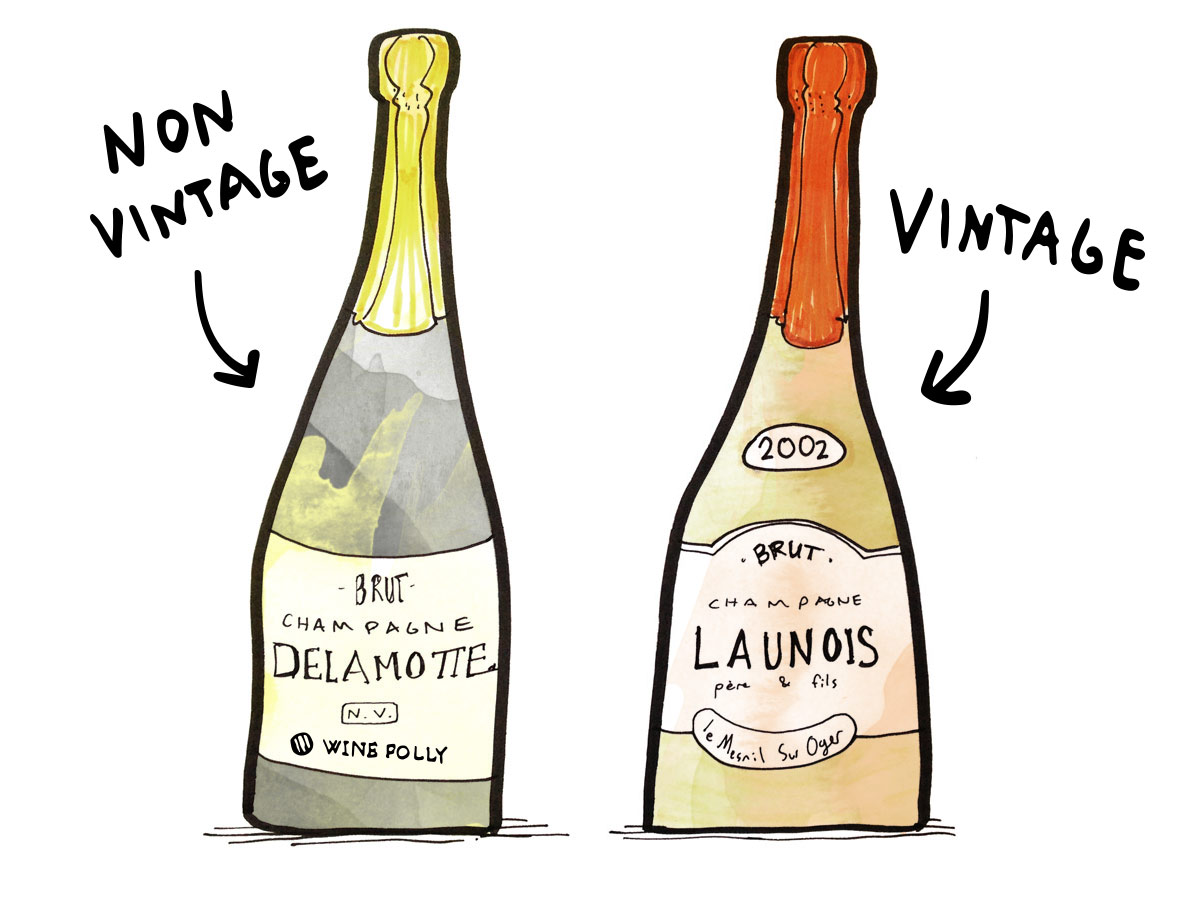 Discover our Champagnes