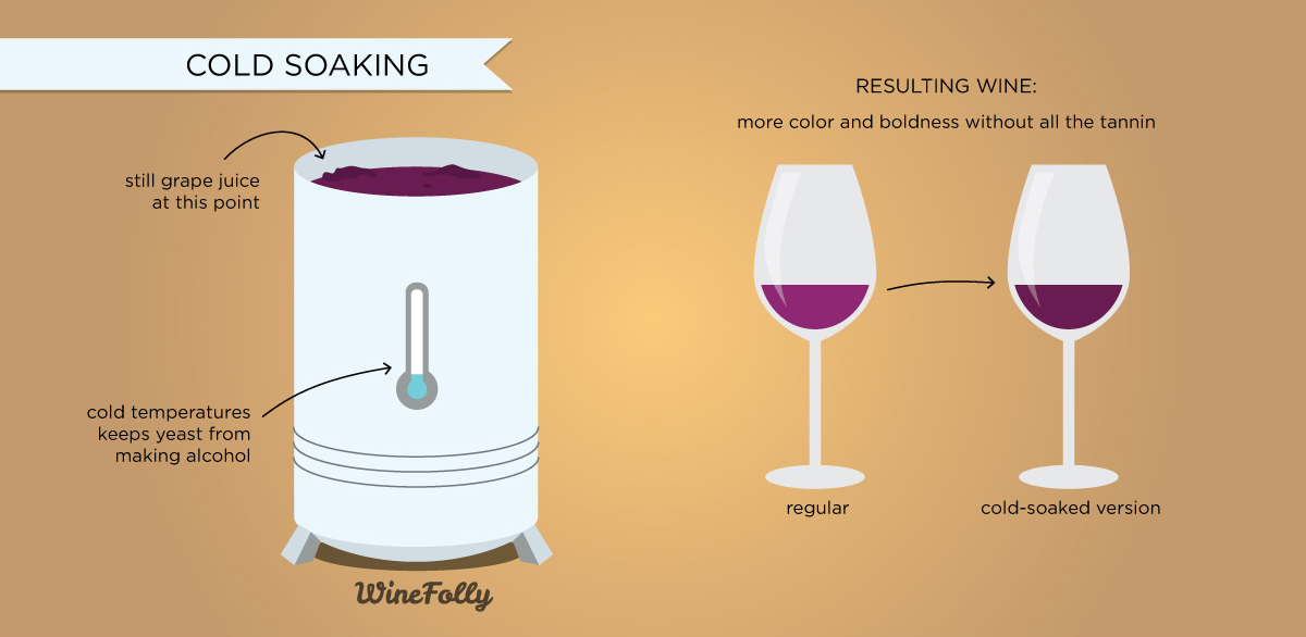 6 Wine Making Processes & How They Affect Wine