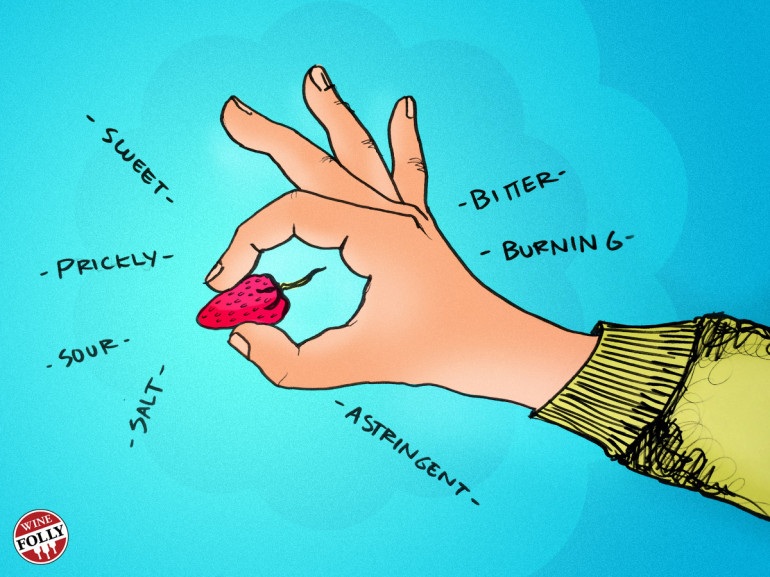The Real Difference Between Flavor Vs Taste Wine Folly