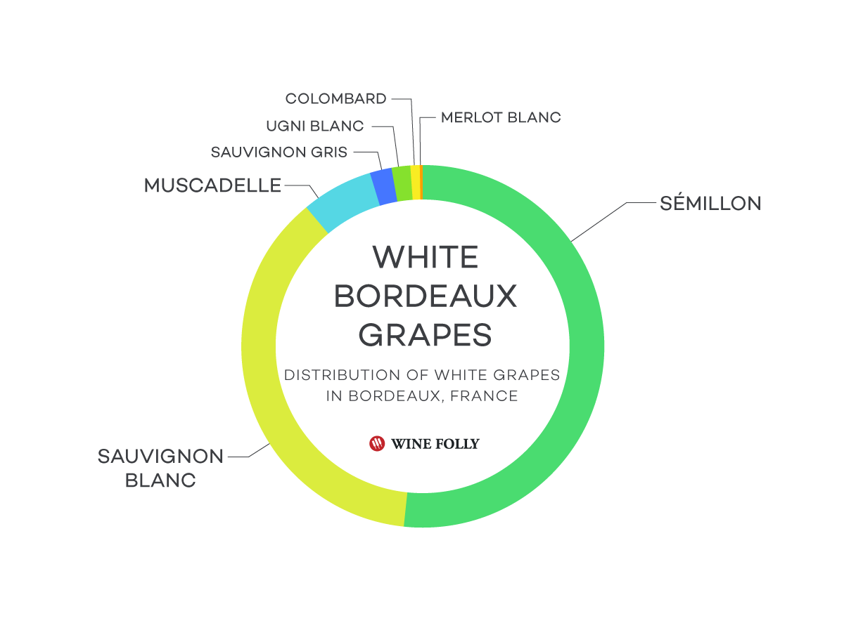 what-grape-varieties-make-up-a-bordeaux-blend-wine-folly