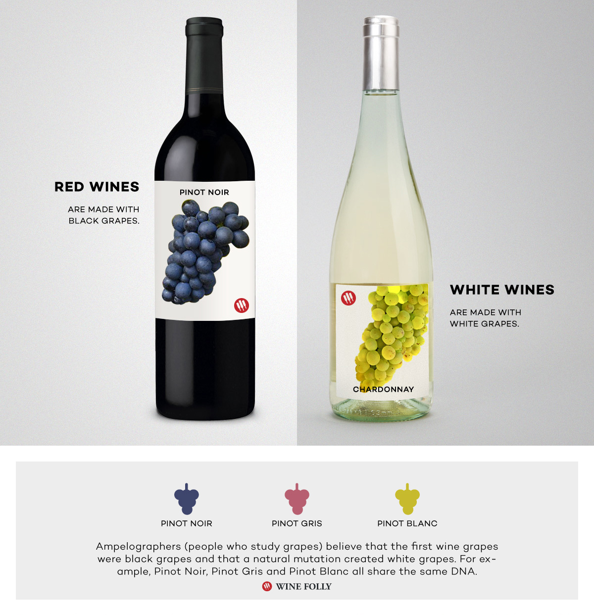 Red Wine vs White Wine The Real Differences Wine Folly