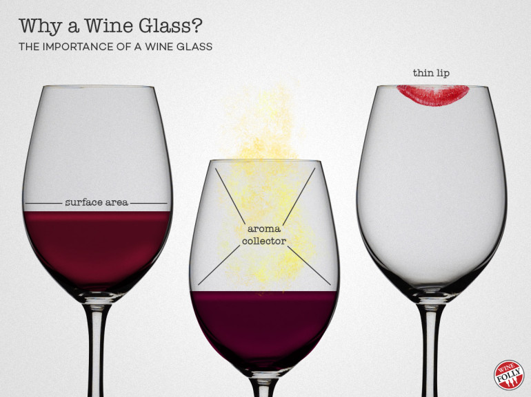 The Importance of a Wine Glass Wine Folly