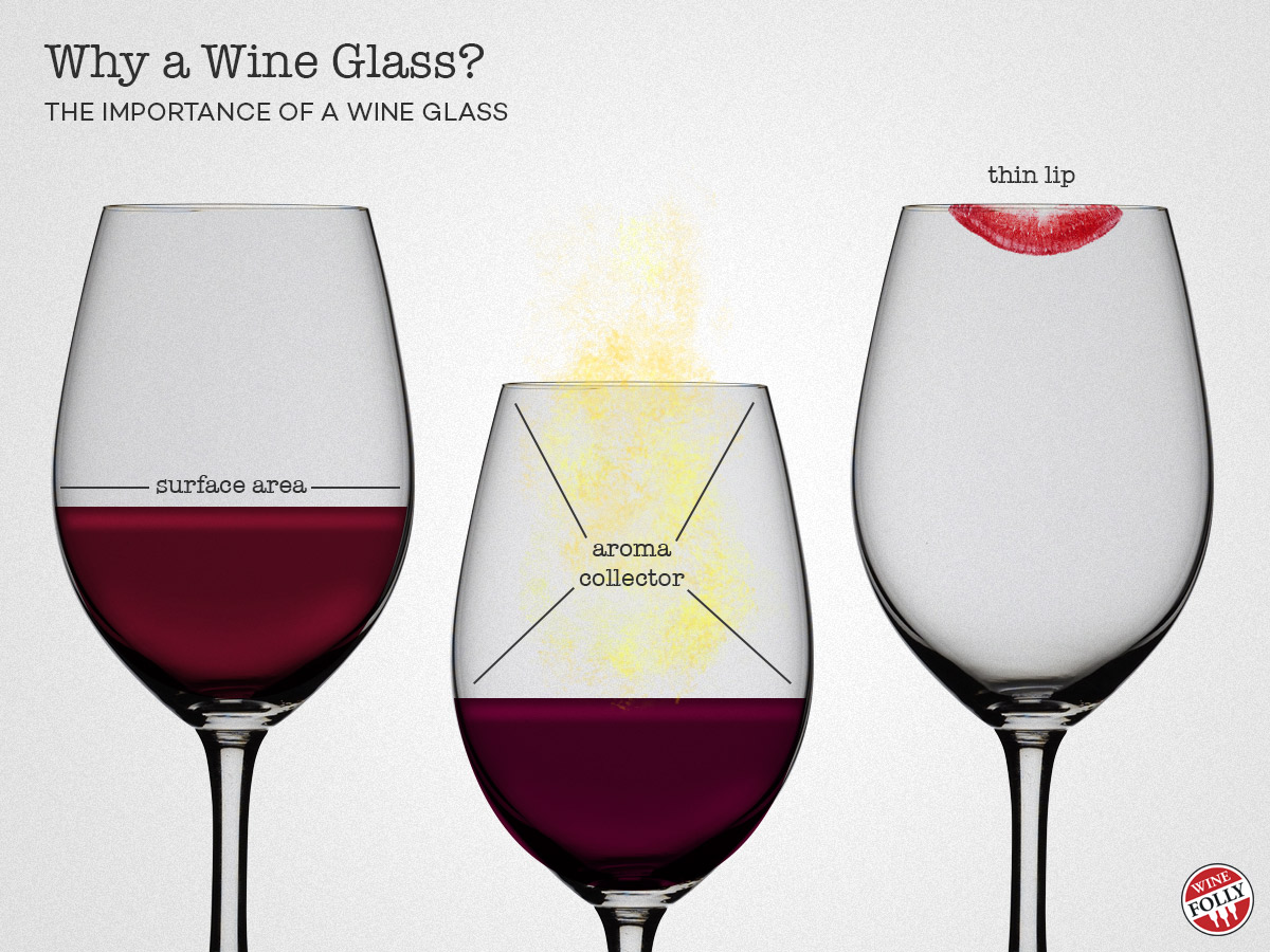 Red vs White Wine Glasses: Differences, Types of Glasses