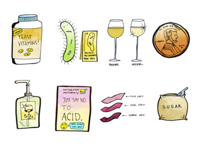 wine-additives