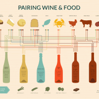 Pairing Wine and Food Infographic Chart