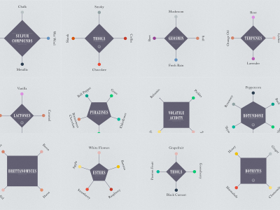 Where Wine Aromas come from