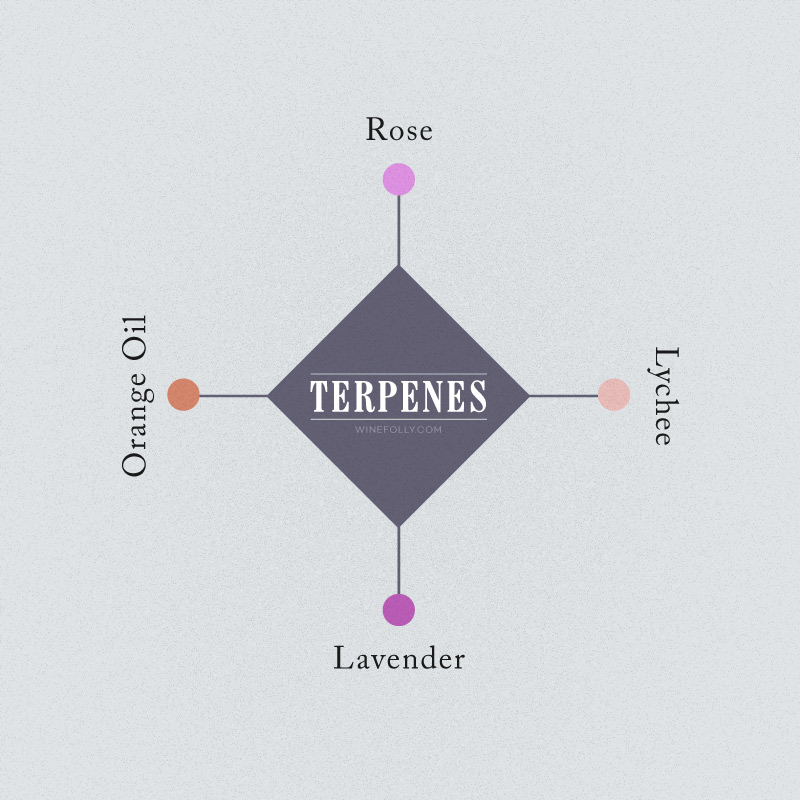 wine-aromas-terpenes