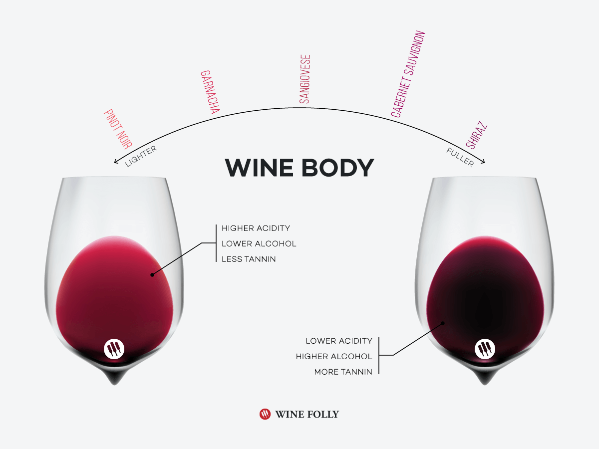 The Difference Between Light, Medium, and Full Bodied Red Wines