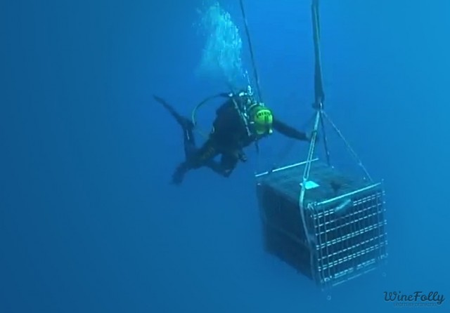 wine being stored under the sea Man in scuba gear delivers a wine treasure chest to its underwater resting place