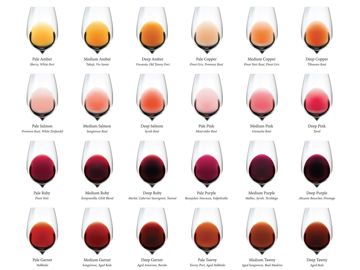 The Wine Color Chart Wine Folly