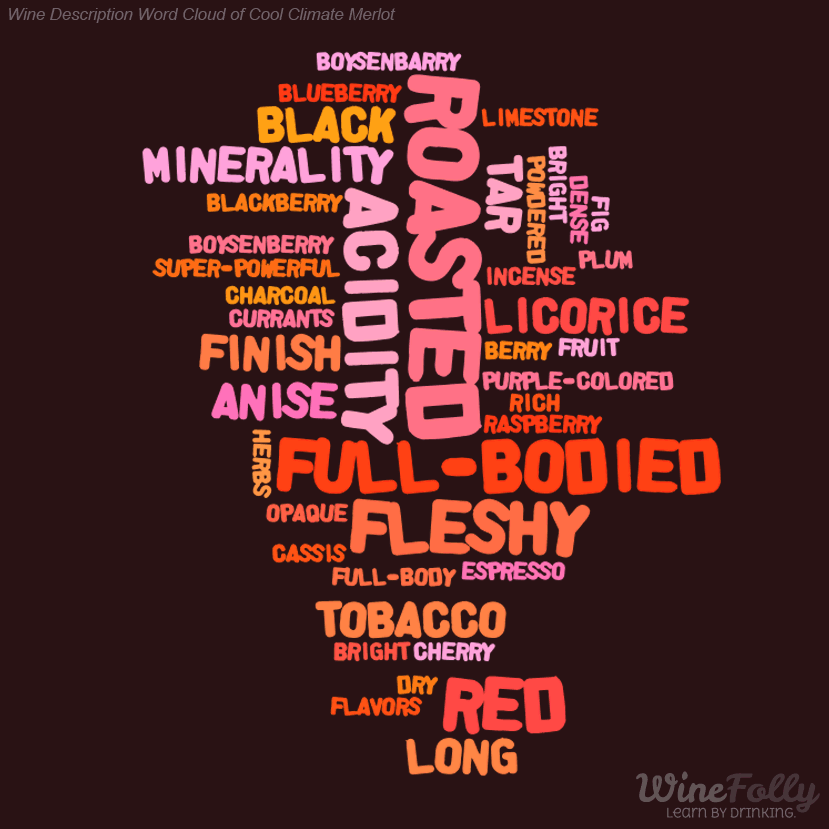 how-to-choose-cabernet-vs-merlot-wine-folly