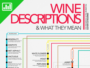 wine-descriptions-chart-shop