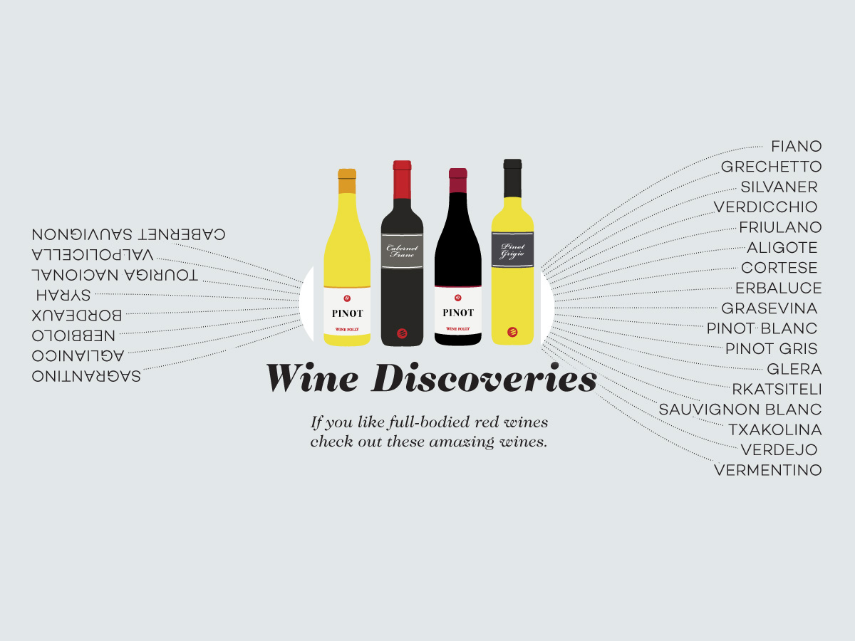 Discover New Wines with Nifty Infographics Wine Folly