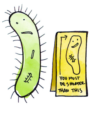 Wine Filtration of Microorganisms 