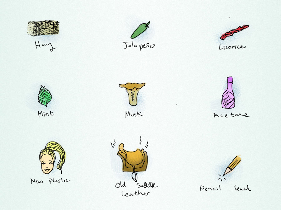 33 of The Most Bizarre Wine Flavors Wine Folly