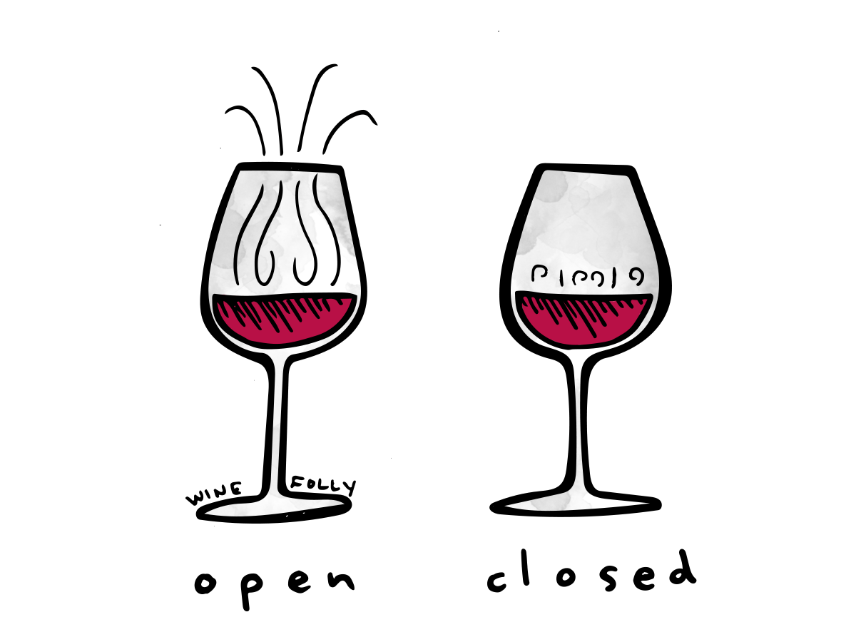 wine glass illustration open and closed